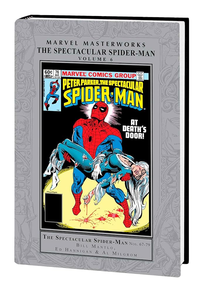 MARVEL MASTERWORKS: THE SPECTACULAR SPIDER-MAN VOL. 6 (Marvel Masterworks: the Spectacular Spider-man, 6) cover image