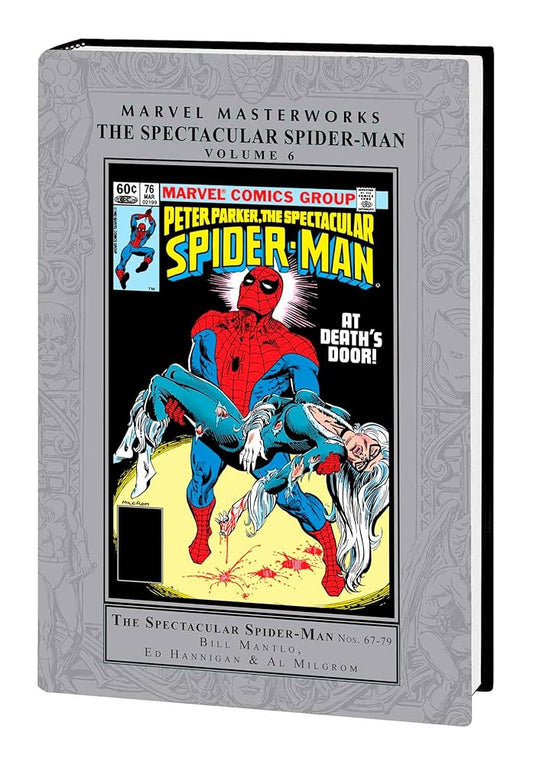 MARVEL MASTERWORKS: THE SPECTACULAR SPIDER-MAN VOL. 6 (Marvel Masterworks: the Spectacular Spider-man, 6) cover image
