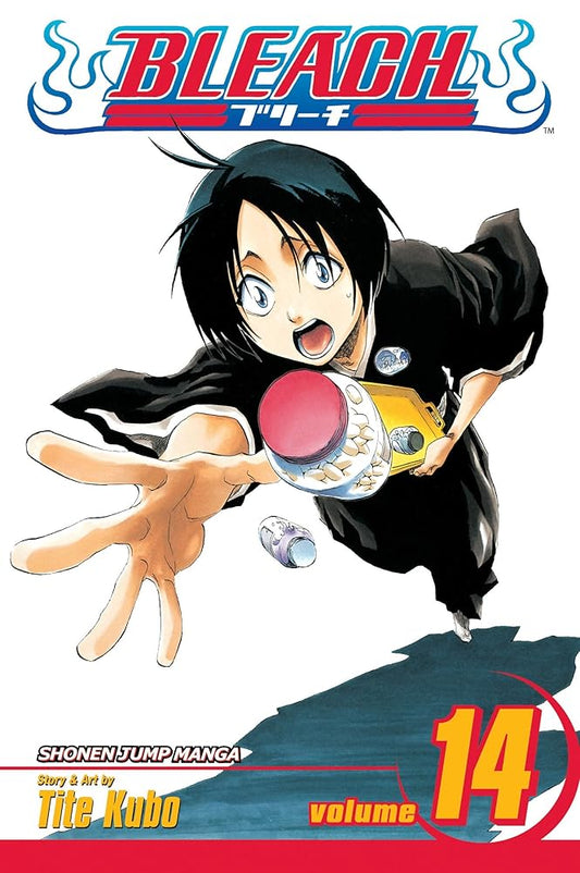 Bleach, Vol. 14 cover image