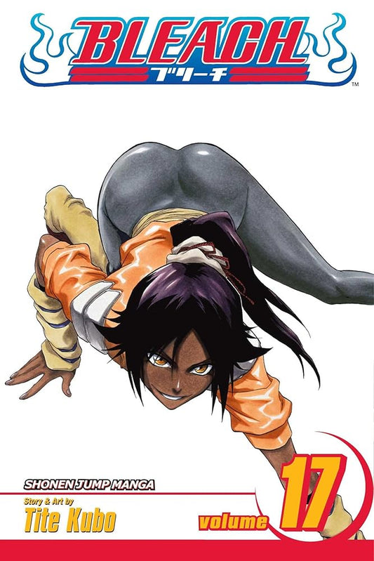 Bleach, Vol. 17 cover image