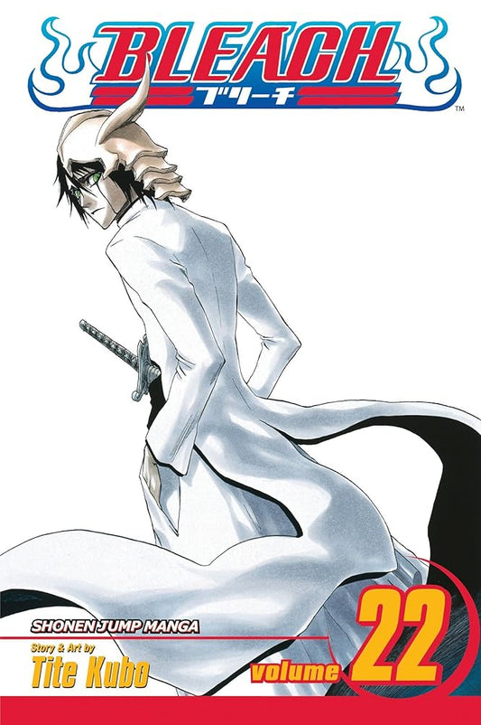 Bleach, Vol. 22 cover image