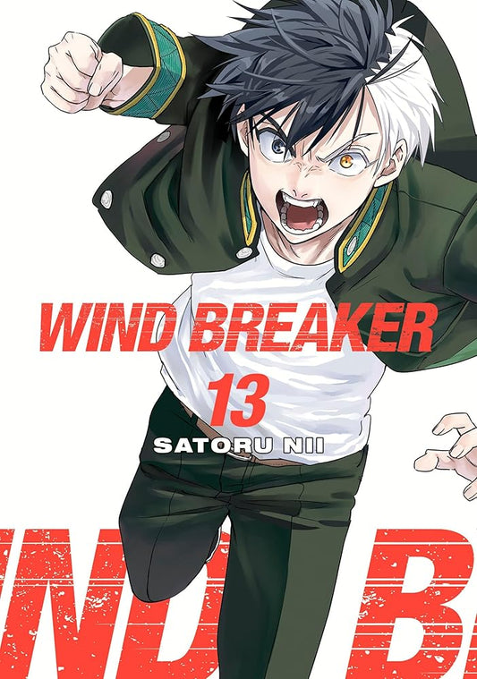 WIND BREAKER 13 cover image