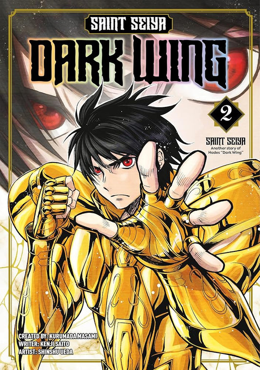 Saint Seiya: Dark Wing Vol.2 cover image